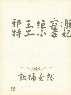 邪王绝宠:腹黑特工小毒妃