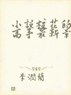 小说校花的贴身高手最新章节列表免费