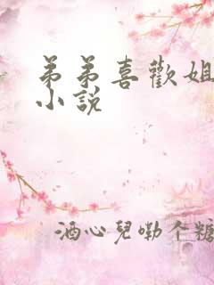 弟弟喜欢姐姐的小说