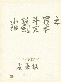 小说斗罗之灵珠神剑完本