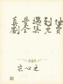 真爱遇到他电视剧全集免费