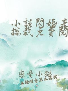 小说闪婚老公是总裁免费阅读