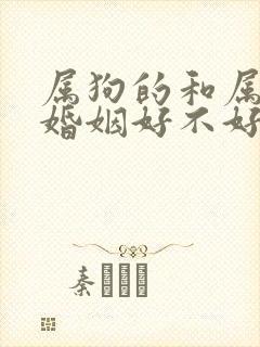 属狗的和属鼠的婚姻好不好