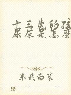 十三岁的孩子还尿床是怎么回事