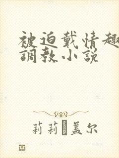 被迫戴情趣用品调教小说