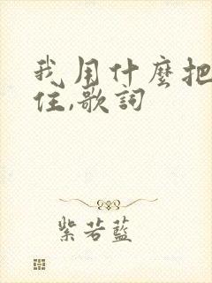 我用什么把你留住,歌词