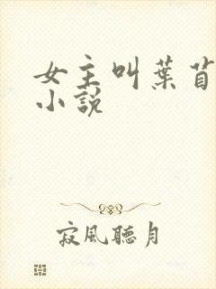 女主叫叶苜苜的小说