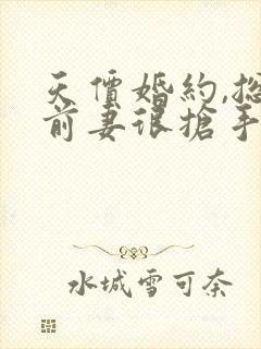 天价婚约,总裁前妻很抢手