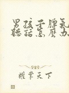 男孩子脾气大不听话怎么办