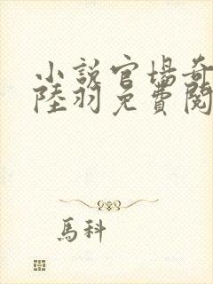 小说官场奇才 陆羽免费阅读