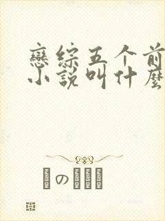 恋综五个前女友小说叫什么