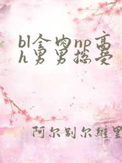 bl全肉np高h男男总受