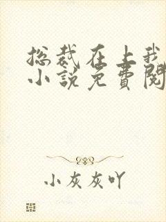 总裁在上我在下小说免费阅读