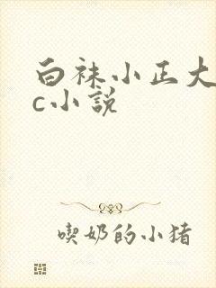 白袜小正大足被c小说