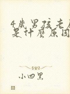 4岁男孩老尿床是什么原因