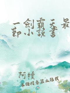 一剑霸天最新章节小说书