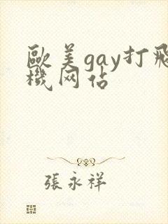 欧美gay打飞机网站