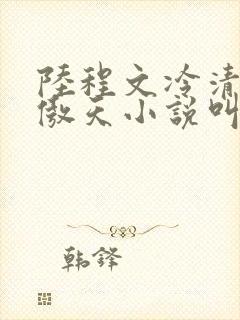 陆程文冷清秋龙傲天小说叫什么