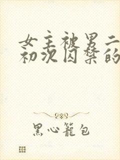 女主被男二夺走初次囚禁的小说