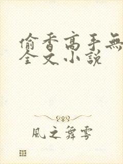 偷香高手无删减全文小说