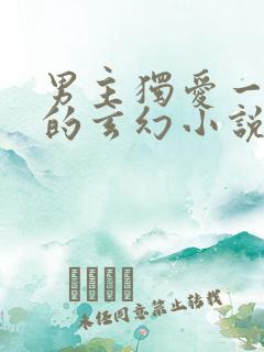 男主独爱一女主的玄幻小说