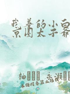 我养的小白脸是京圈太子爷短剧沉思