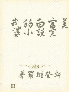 我的白富美的老婆小说完