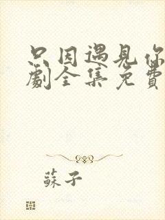 只因遇见你电视剧全集免费观看56