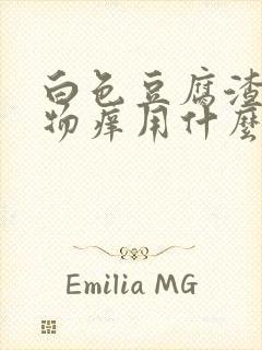 白色豆腐渣分泌物痒用什么药