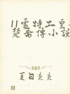 11处特工皇妃楚乔传小说