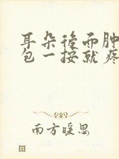 耳朵后面肿了个包一按就疼怎么办