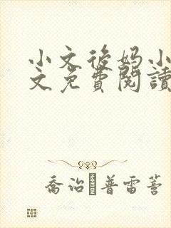 小文后妈小说全文免费阅读最新章节