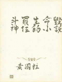 斗罗生命毁灭双神位的小说