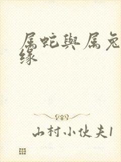 属蛇与属兔的姻缘