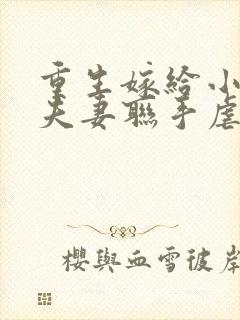 重生嫁给小叔子夫妻联手虐渣