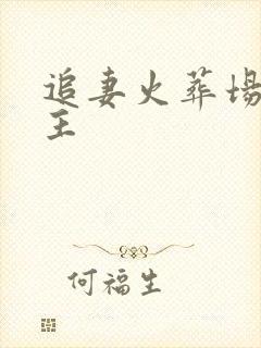 追妻火葬场双女主