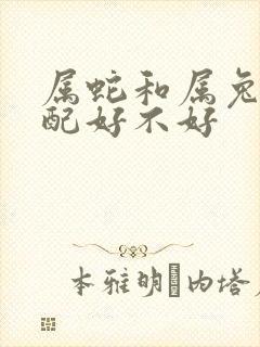 属蛇和属兔的婚配好不好