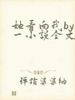 她看向我by徐一小说全文免费阅读