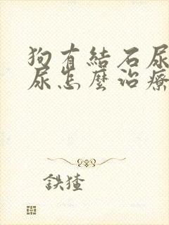 狗有结石尿不出尿怎么治疗