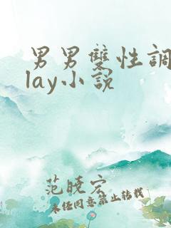 男男双性调教play小说