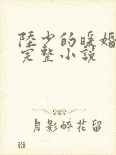 陆少的暖婚新妻完整小说