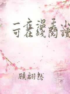 一夜温柔小说小可在线阅读