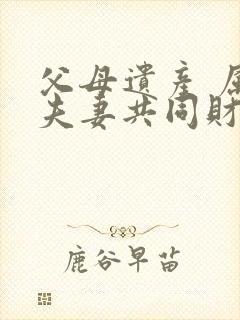 父母遗产 属于夫妻共同财产