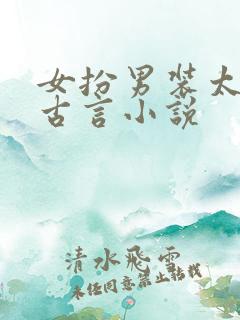 女扮男装太监的古言小说