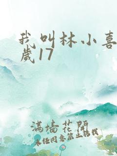 我叫林小喜今年岁17