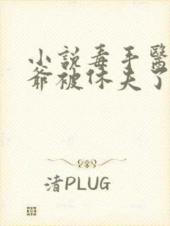 小说毒手医妃王爷被休夫了全文