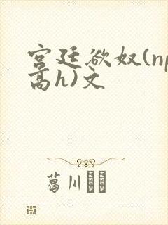 宫廷欲奴(np高h)文