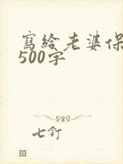 写给老婆保证书500字