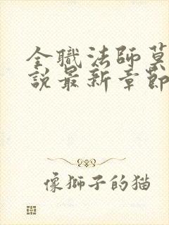 全职法师莫凡小说最新章节精校版