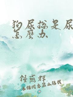 狗尿总是尿毛上怎么办